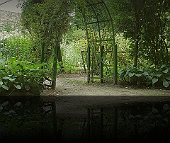Boerentuin 2